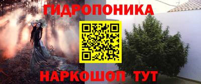 каннабис Новозыбков