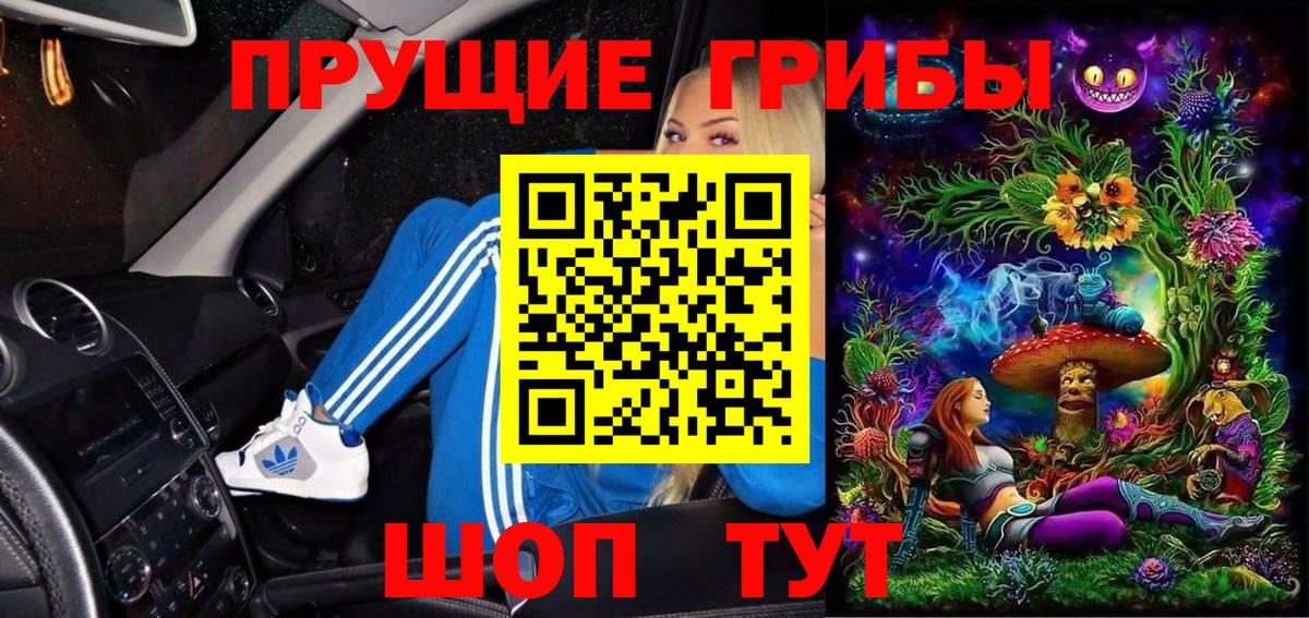 Галлюциногенные грибы Cubensis Узловая