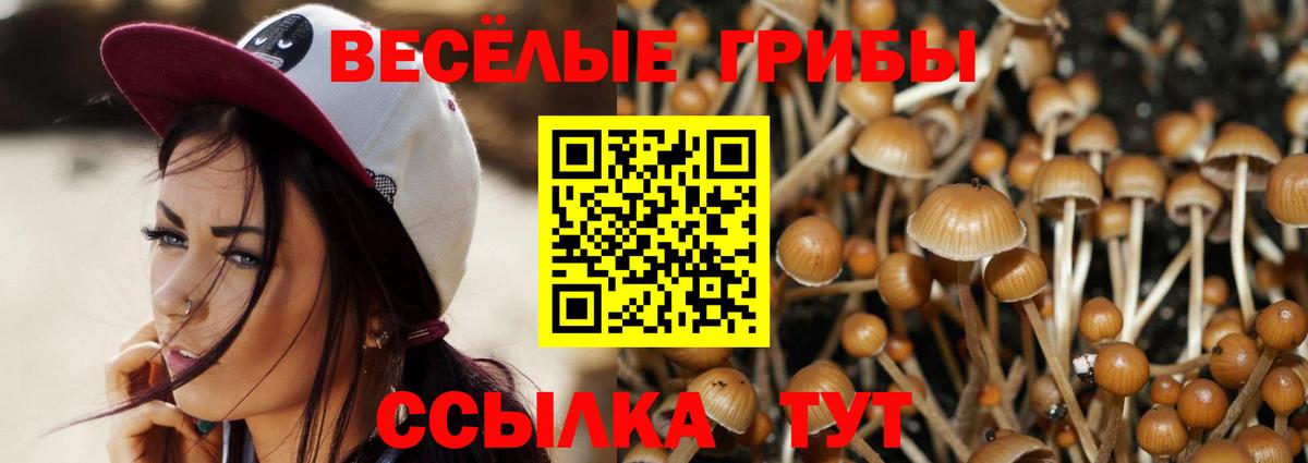 где продают   Вход с VPN  Узловая  Галлюциногенные грибы ЛСД 